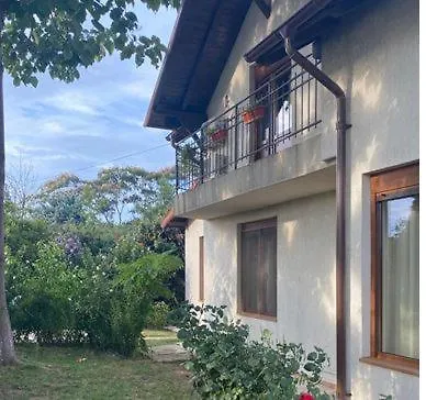 Casa Andrei Vila *