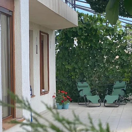Casa Andrei Vila *