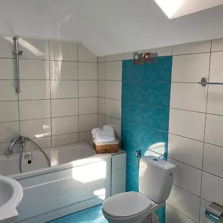 Vila Casa Andrei Două Mai