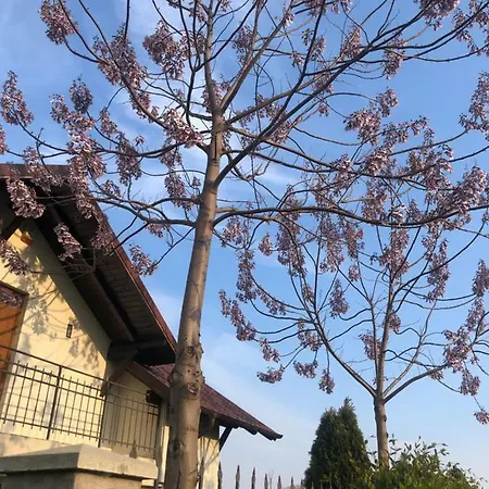 Villa Casa Andrei